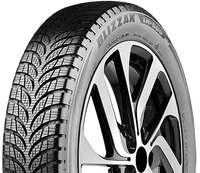 Bridgestone, Blizzak LM-500, 155/70 R19 88Q XL * Ologic 3PMSF M+S