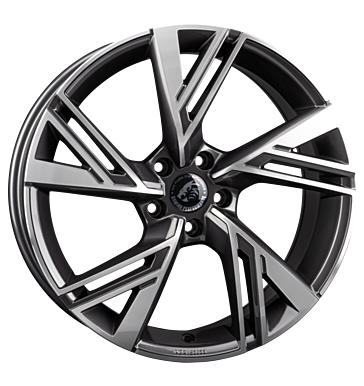 Damina Performance, DM14, 8,5x19 ET45 5x112 66,6, anthrazit polished