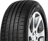 Minerva, F209, 205/60 R16 92V