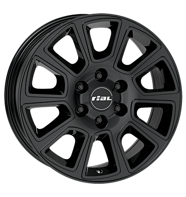Rial, Transporter 2, 6,5x16 ET54 6x130 84,1, diamant-schwarz